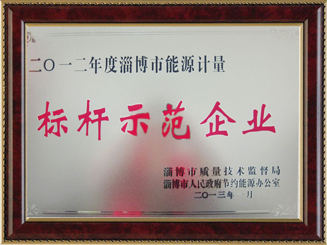 2012年度淄博市能源計量標(biāo)桿示范企業(yè)
